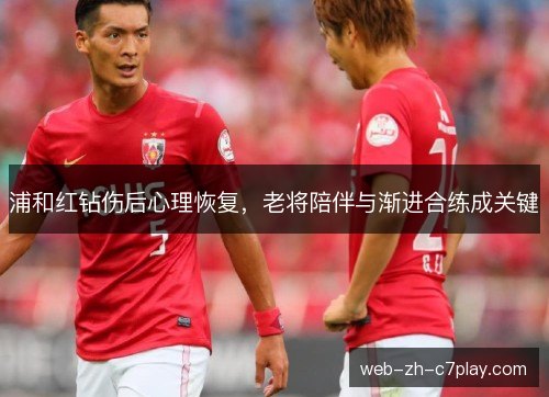 浦和红钻伤后心理恢复,老将陪伴与渐进合练成关键 浦和红钻伤后心理恢复,老将陪伴与渐进合练成关键